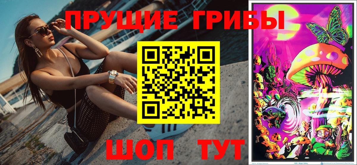Галлюциногенные грибы GOLDEN TEACHER Гагарин