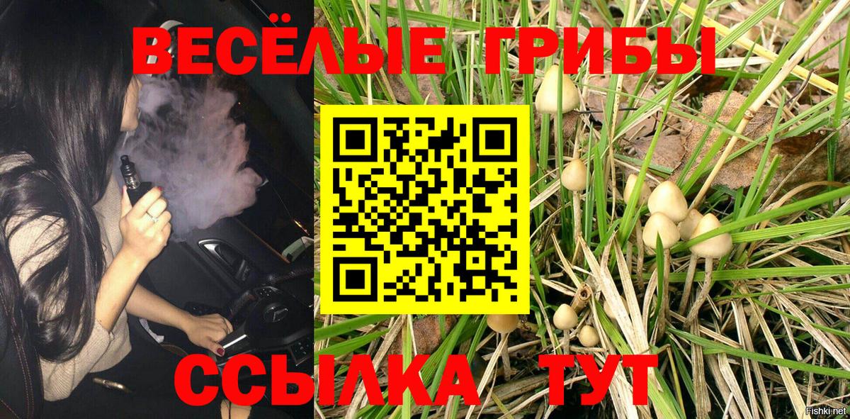 Гагарин  Псилоцибиновые грибы GOLDEN TEACHER  Вход с VPN 